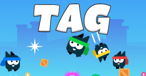 Animal Chase Tag