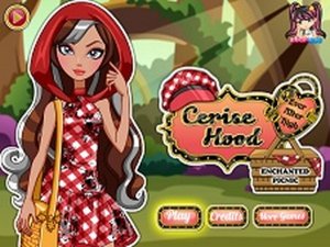 Cerise Hood Picnic Dress Up