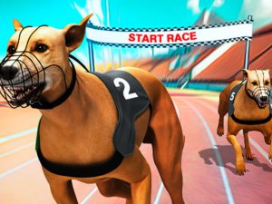 Dog Racing Fever Arcade Game