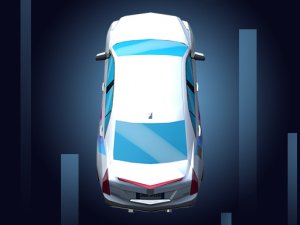 Fish Parking Driving Simulator