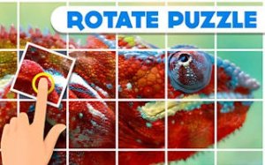 Picture Tile Alignment Challenge
