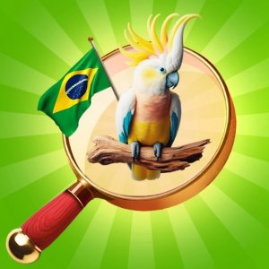 Brazil Hidden Object Puzzle